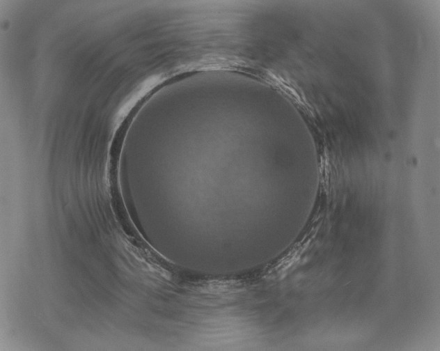 X0000075860292200609151233