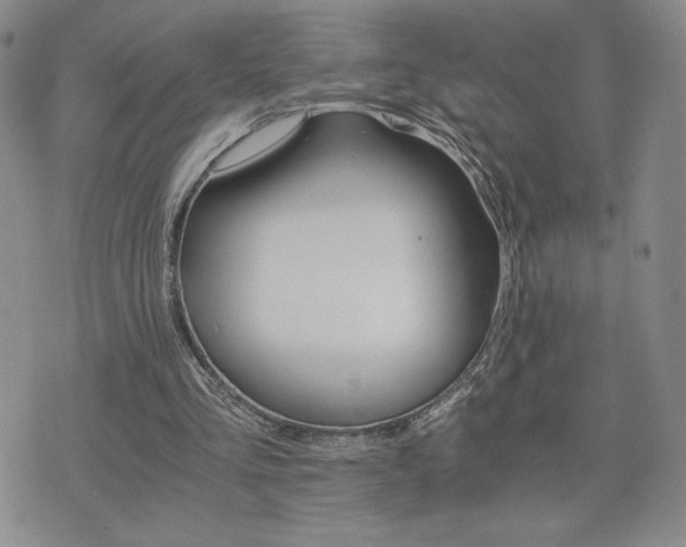 X0000075860293200609151233