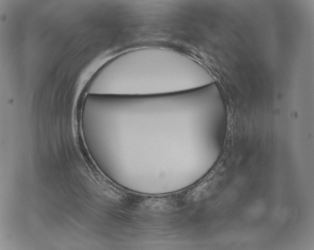 X0000075860294200609151233