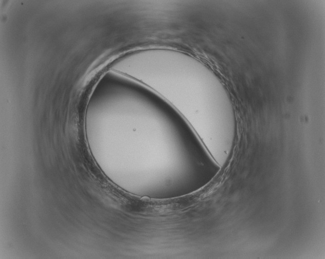 X0000075860295200609151233