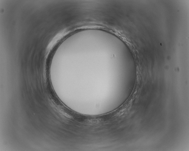 X0000075860296200609151233