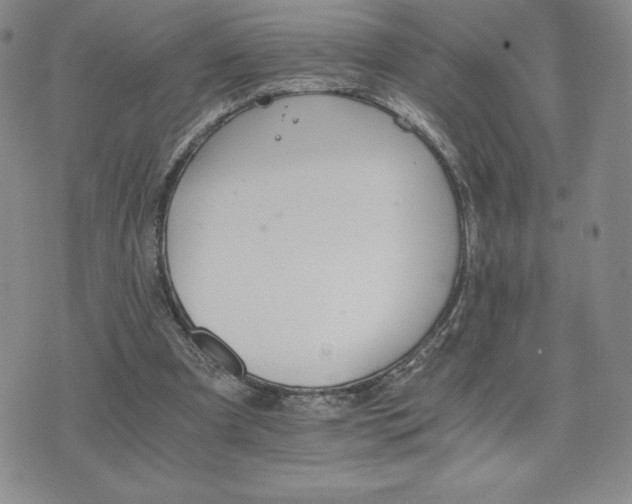 X0000075860297200609151233