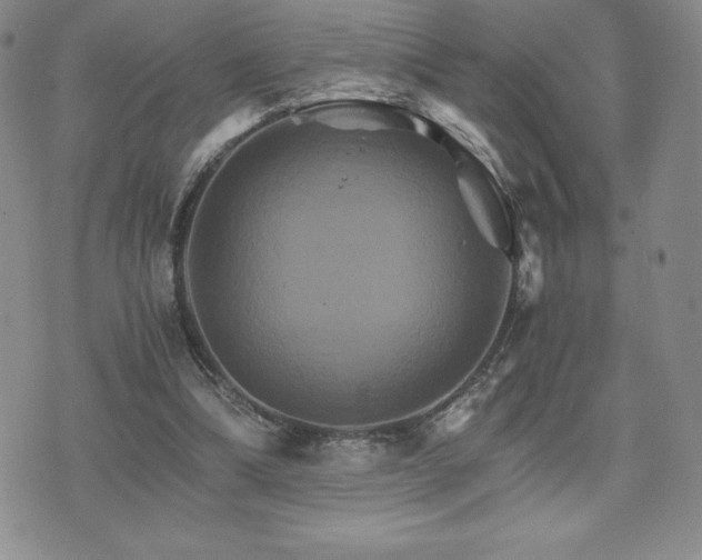 X0000075860298200609151233