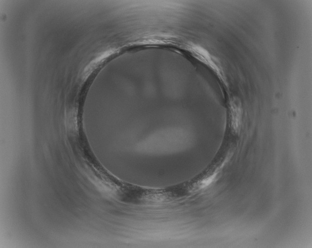 X0000075860299200609151233