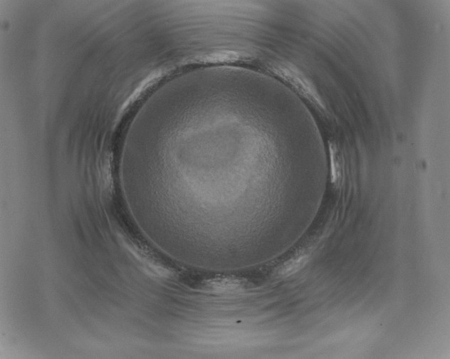 X0000075860300200609151233