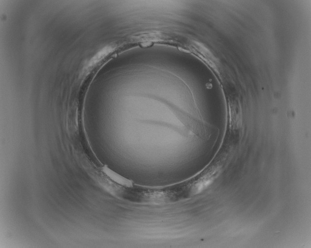 X0000075860301200609151233