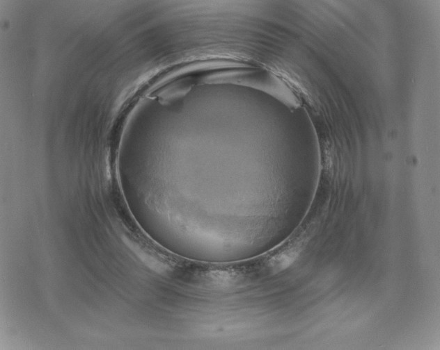 X0000075860302200609151233