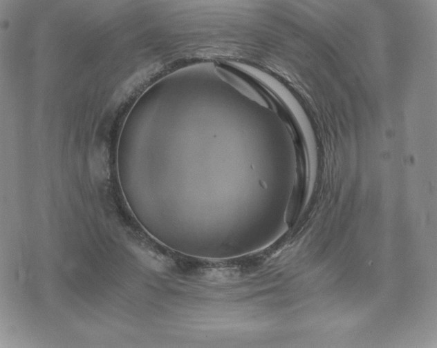 X0000075860303200609151233