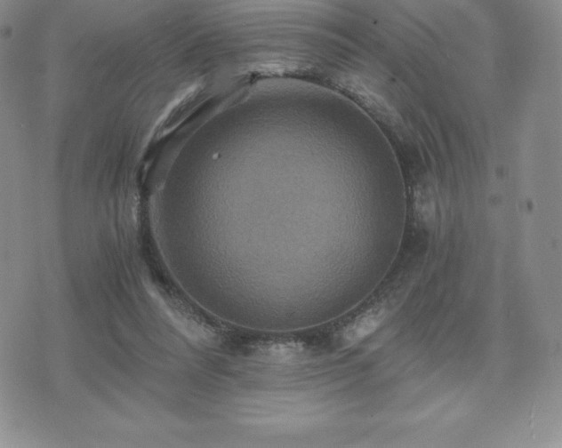 X0000075860304200609151233