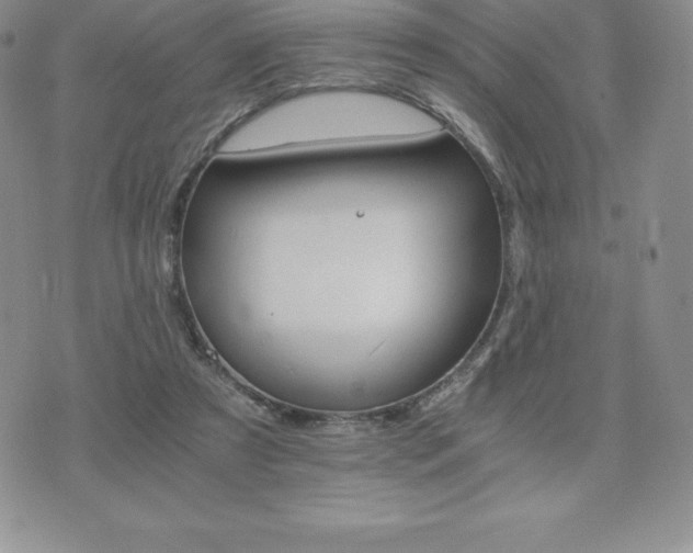 X0000075860305200609151233