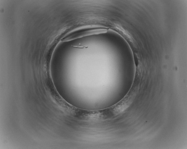 X0000075860306200609151233