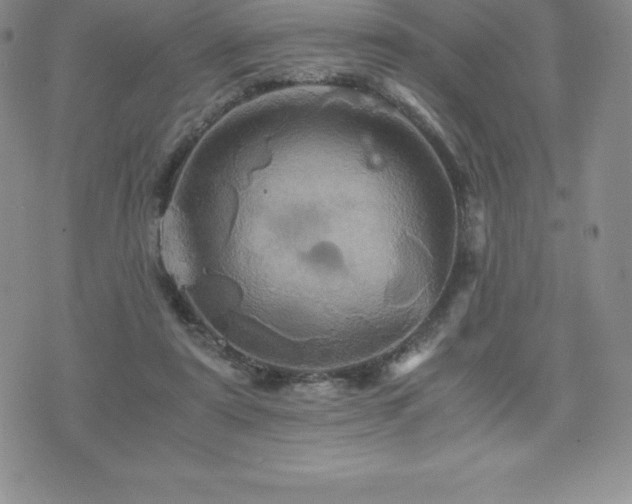 X0000075860307200609151233