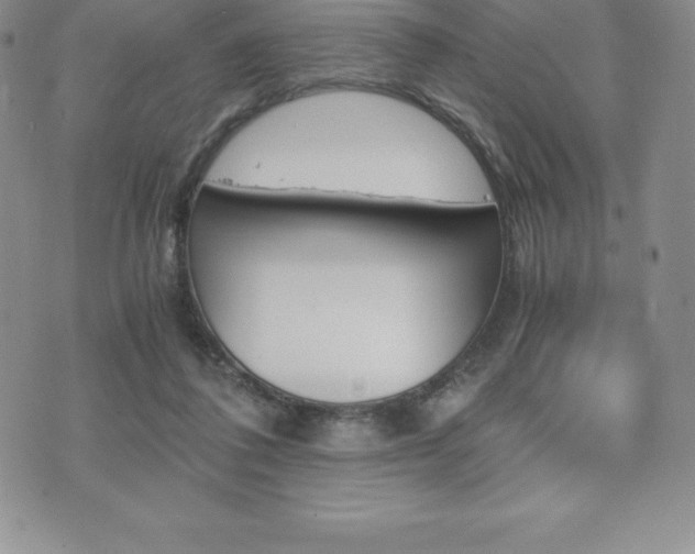 X0000075860308200609151233