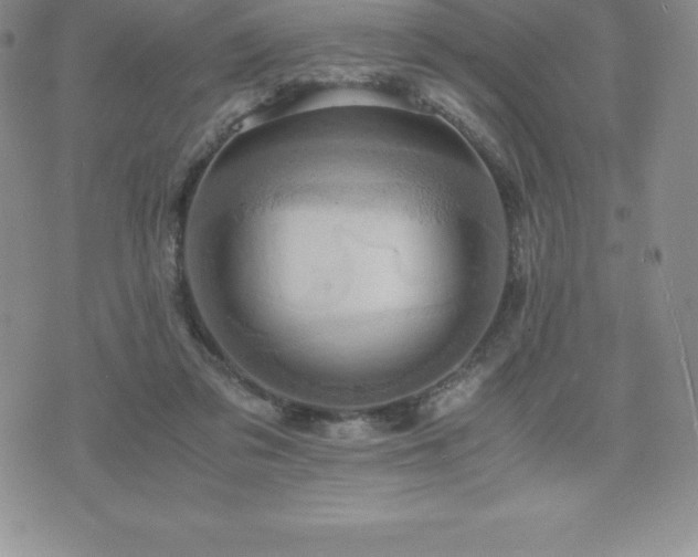 X0000075860309200609151233