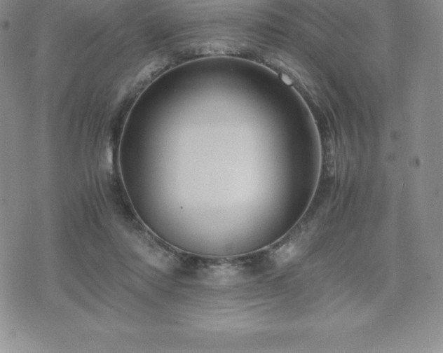 X0000075860310200609151233