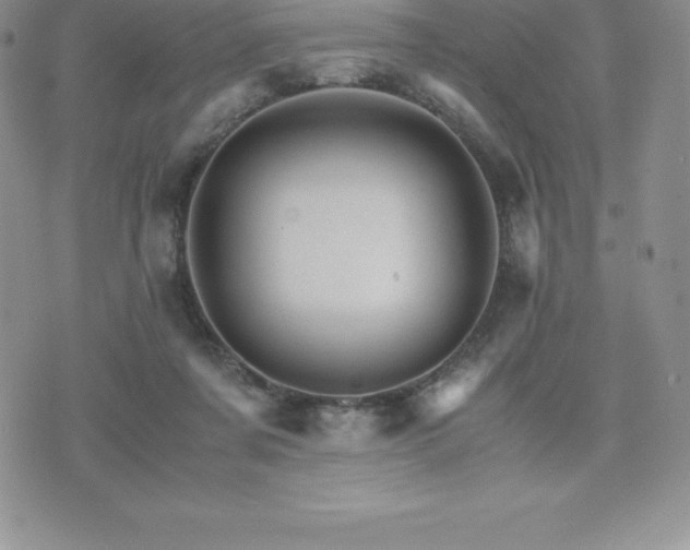 X0000075860311200609151233