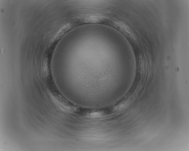 X0000075860312200609151233