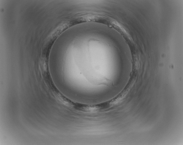 X0000075860313200609151232