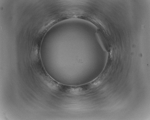 X0000075860314200609151232