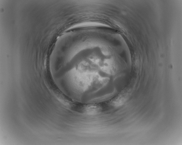 X0000075860315200609151232