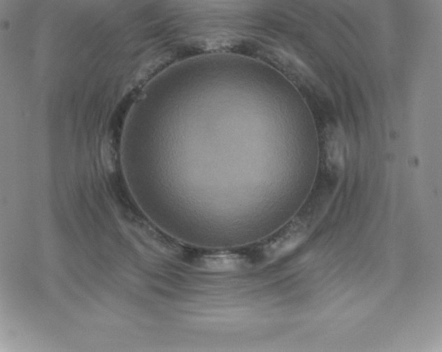 X0000075860316200609151232