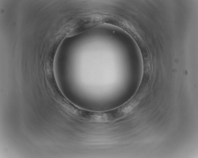 X0000075860317200609151232