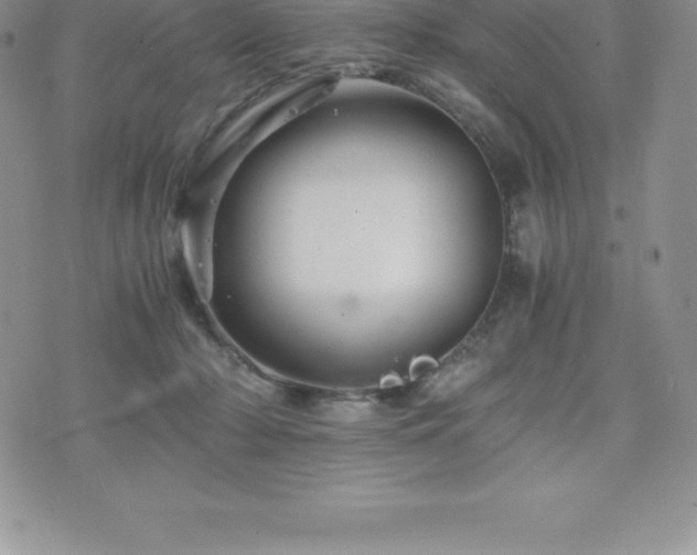 X0000075860318200609151232