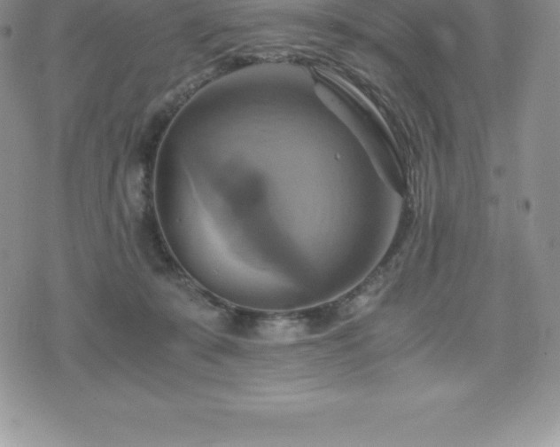 X0000075860319200609151232