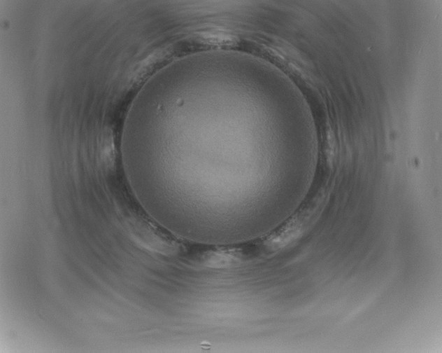 X0000075860320200609151232