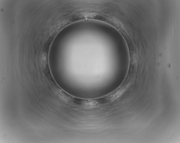 X0000075860321200609151232