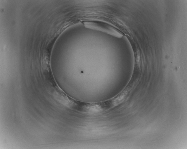 X0000075860322200609151232