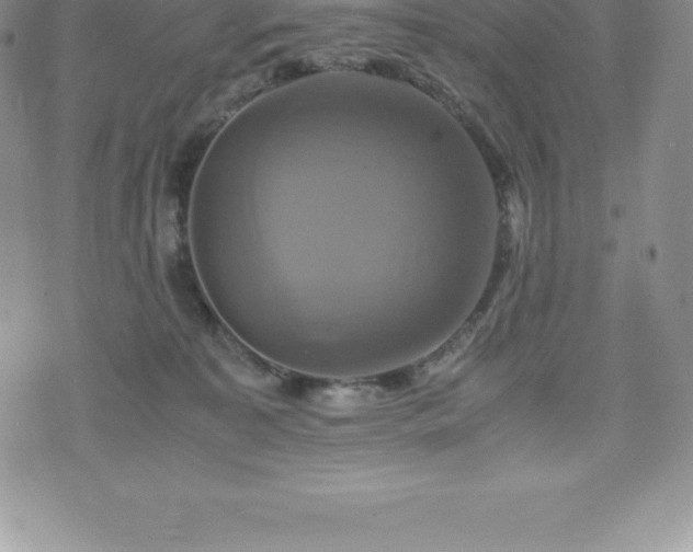 X0000075860323200609151232