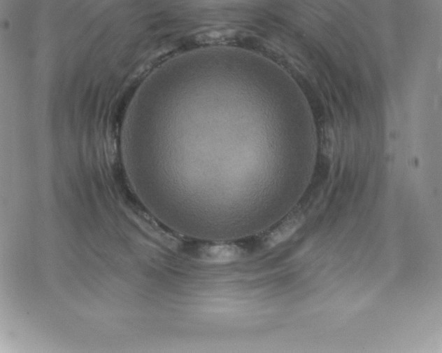 X0000075860324200609151232