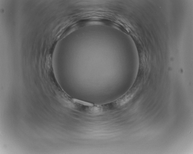 X0000075860325200609151232