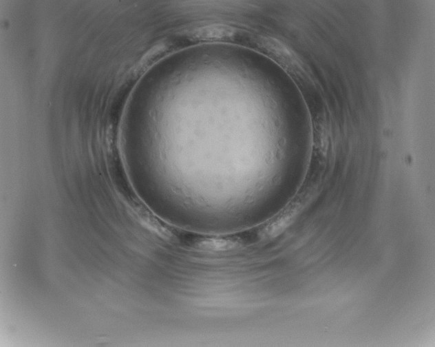 X0000075860326200609151232