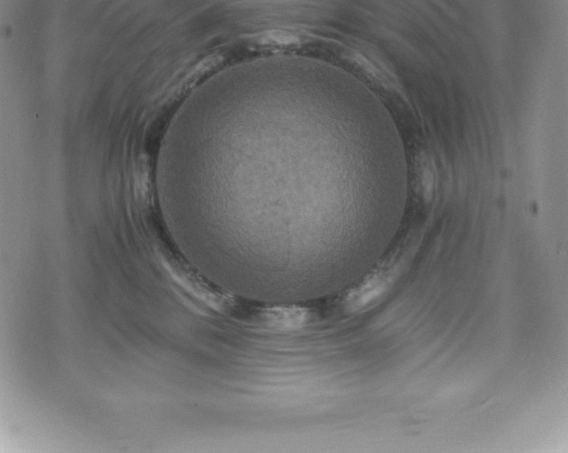 X0000075860328200609151232