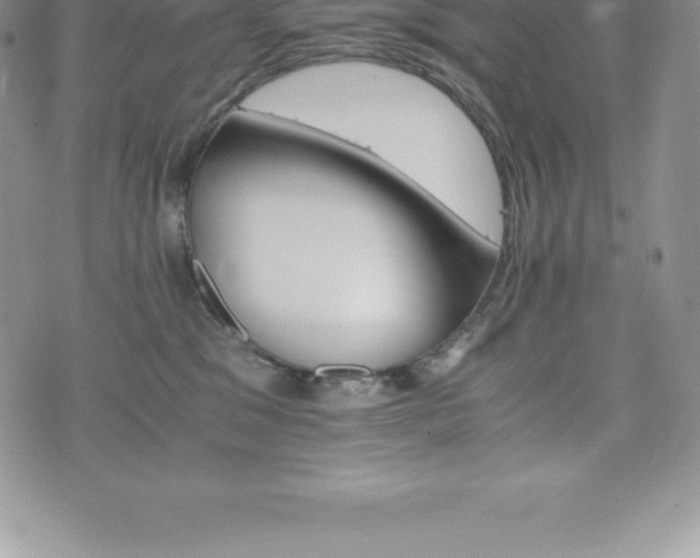 X0000075860329200609151232