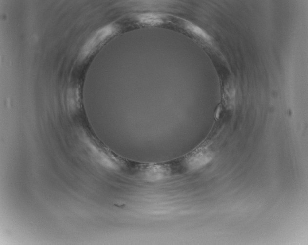 X0000075860330200609151232