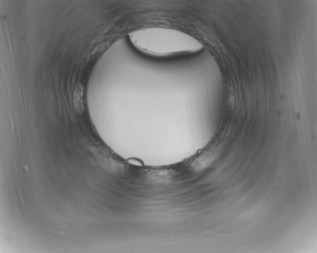 X0000075860332200609151232