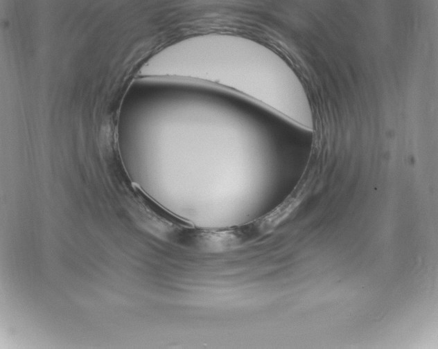 X0000075860333200609151232