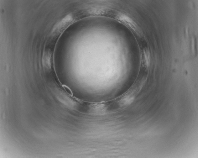 X0000075860334200609151232