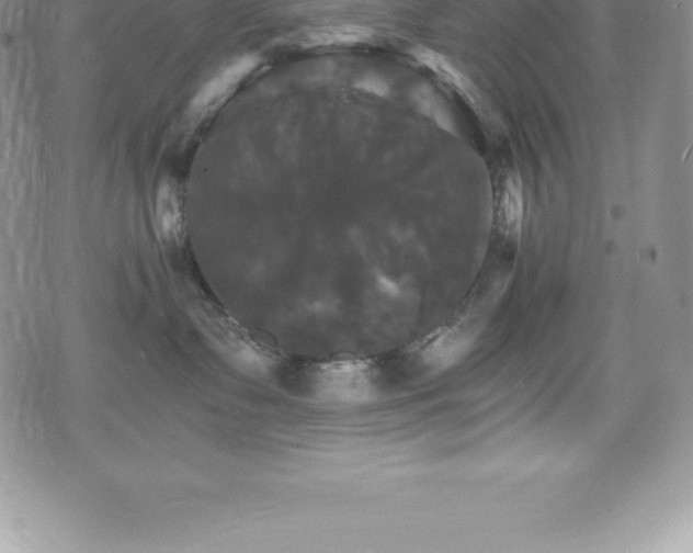 X0000075860335200609151232