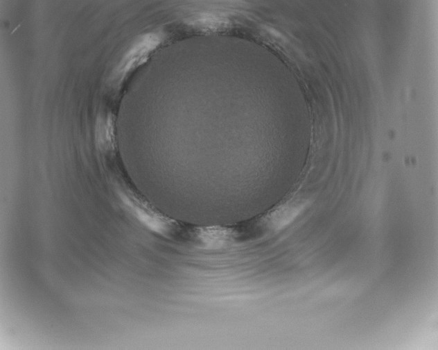 X0000075860336200609151232