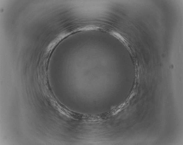 X0000075860337200609151231