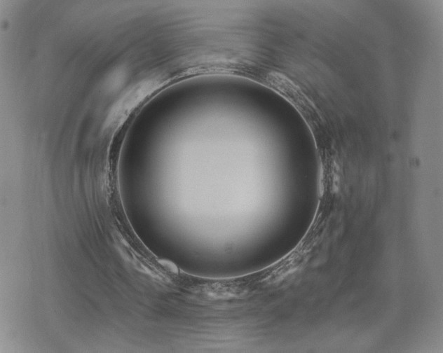 X0000075860338200609151231