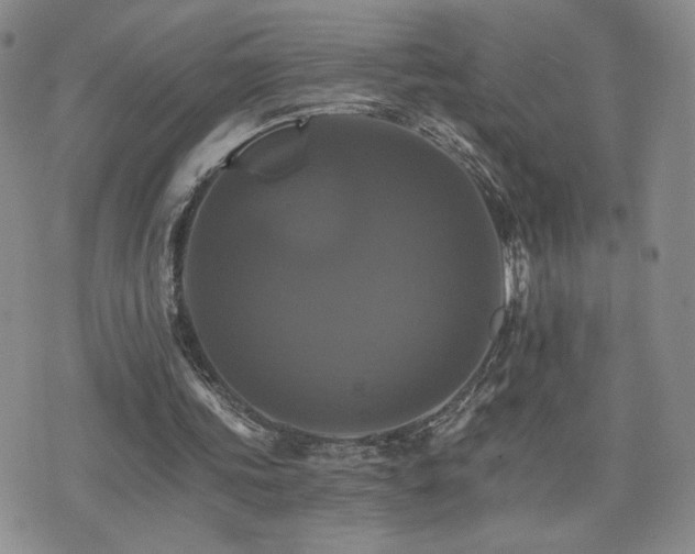 X0000075860339200609151231