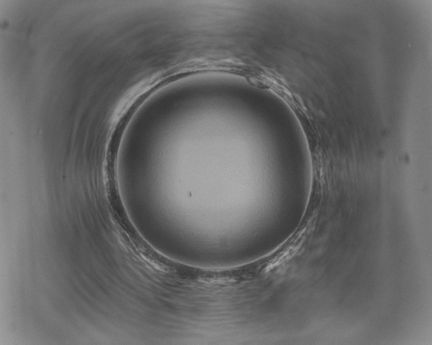 X0000075860340200609151231