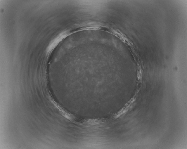 X0000075860341200609151231