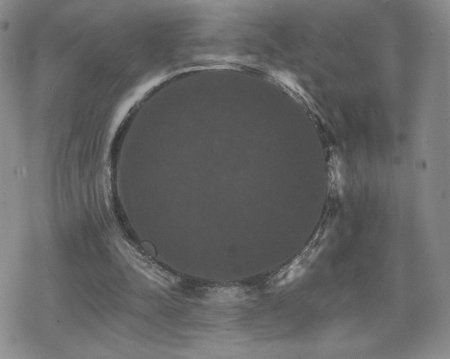 X0000075860342200609151231