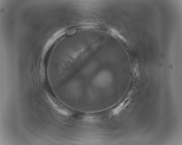 X0000075860343200609151231